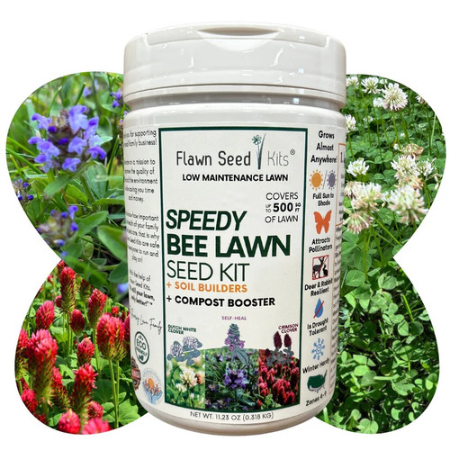 Flawn Speedy Bee Lawn Seed Kit