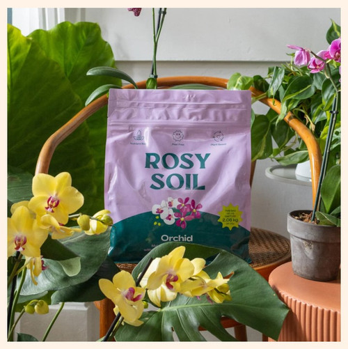 Orchid Mix Orchid Mix