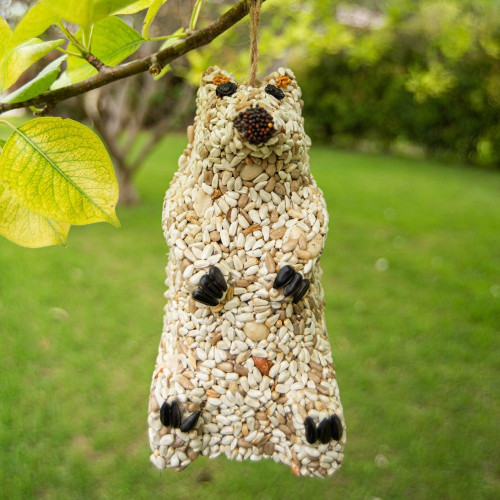 Mr. Bird Snow Bear
