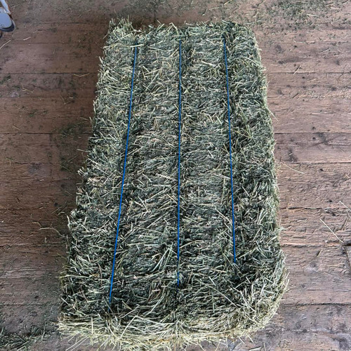 Alfalfa Hay