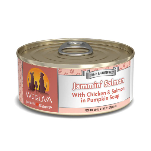 Weruva Classic Dog Jammin' Salmon Chicken & Salmon in Pumpkin Soup