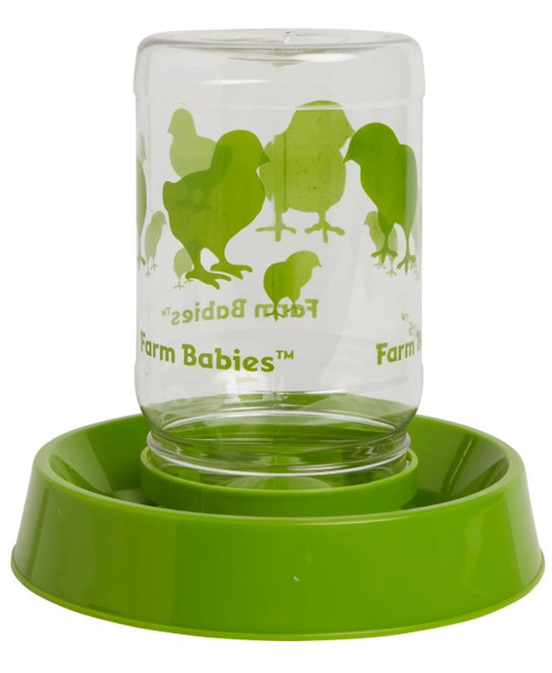 Chick Feeder or Fountain