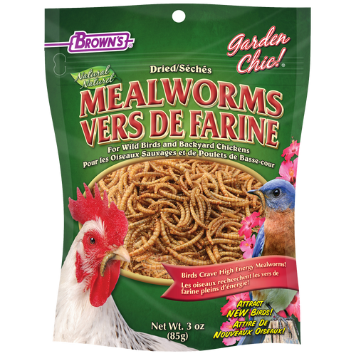 Garden Chic! Mealworms