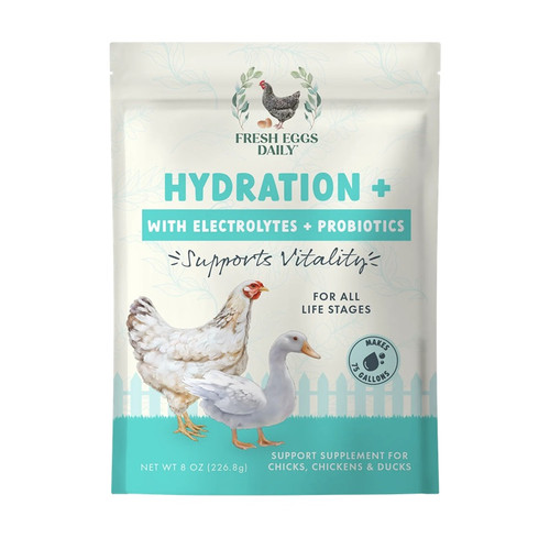 Fresh Eggs Daily® Hydration+ with Electrolytes & Probiotics