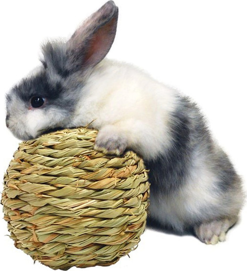 Peter's Woven Grass Play Ball