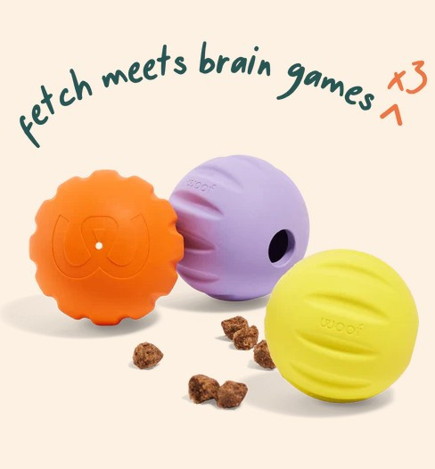 Flyball 3 Pack
