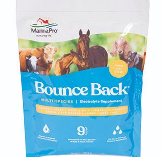 Bounce Back Multispecies Electrolyte Supplement