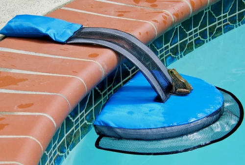 FrogLog- Critter Saving Escape Ramp