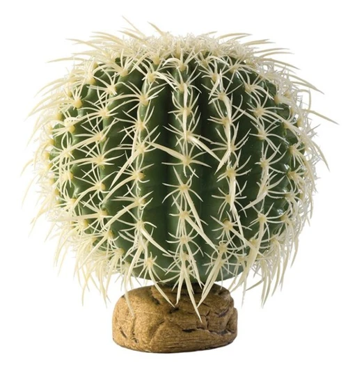 Barrel Cactus Terrarium Plant