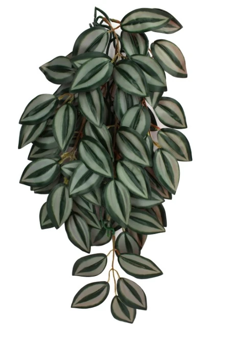Komodo Zebrina Climbing Plant for Reptiles