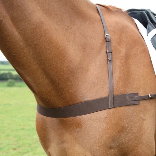 Avignon Elastic Breast Girth