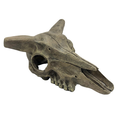 Komodo® Deer Skull