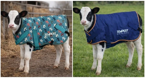 Tempest Original Calf Coat