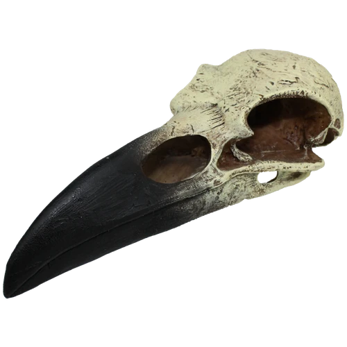 Komodo® Raven Skull