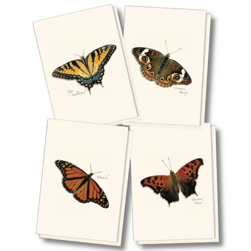 Earth Sky + Water Notecard Set - Butterfly Assortment