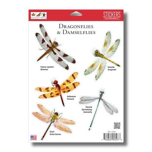 Earth Sky + Water Stickers - Dragonflies & Damselflies
