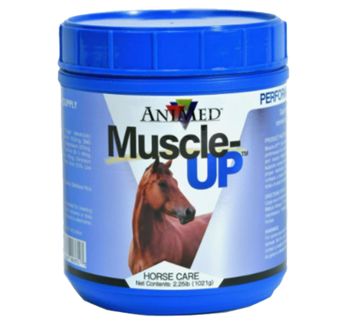 AniMed Muscle Up Supplement For Horses