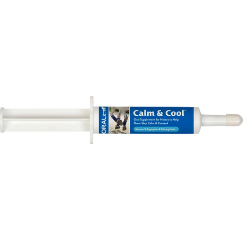 Oralx® Calm & Cool Paste