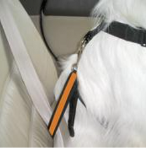 Kurgo Dog Seat Belt Tether Carabinar