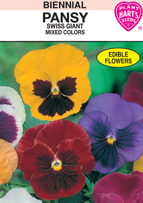 Hart's Giant Swiss Pansy