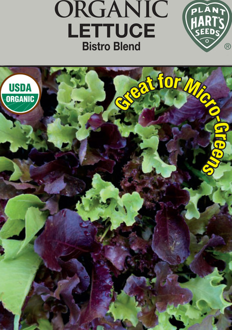 organic bistro blend lettuce