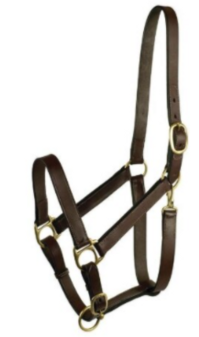 Gatsby Leather Suckling Halter