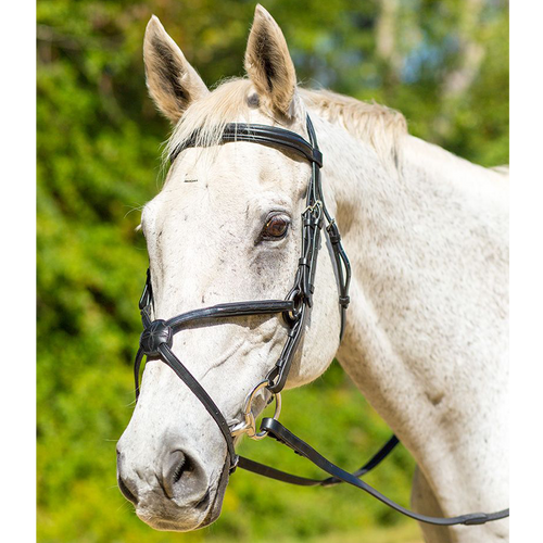 Shires Avignon Woodside Figure Eight Bridle