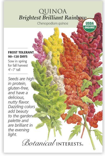 Bright Rainbow Quinoa Organic
