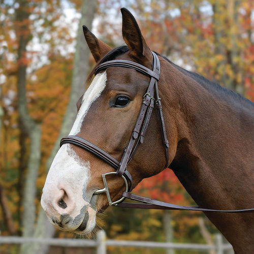Shires Avignon Nashville Bridle