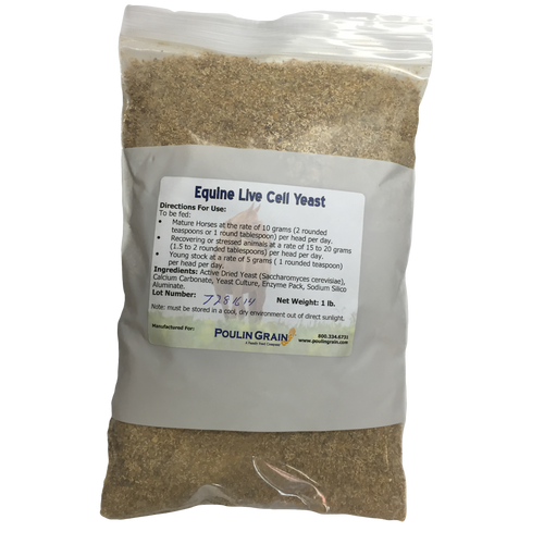 Poulin Live Cell Yeast - 1 lb