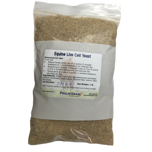 Poulin® Live Cell Yeast