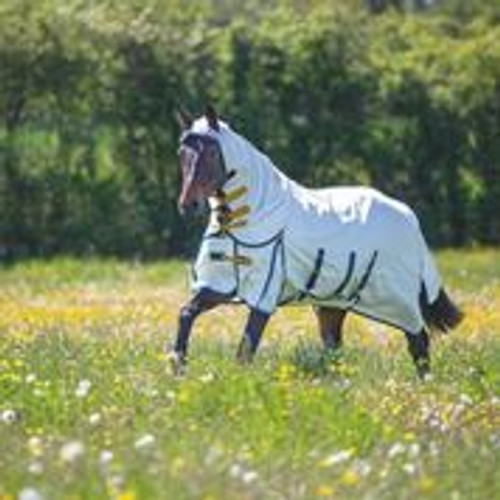 shires sweet itch fly sheet