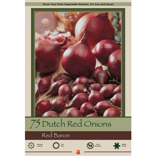 Dutch Red Onion Sets