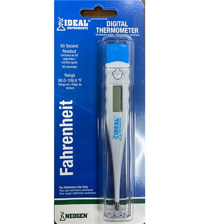 Digital Thermometer with Case