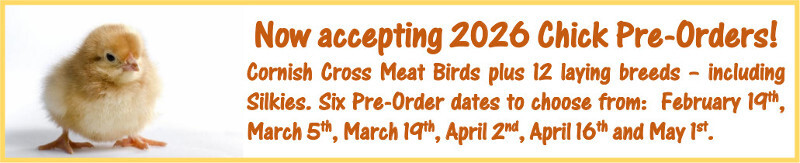 2026 Chick Pre-Order Form