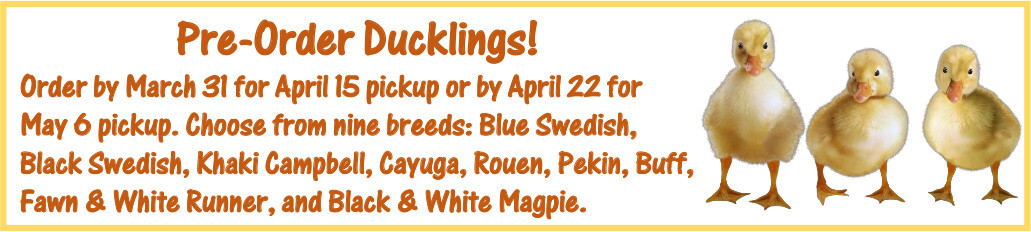 2026 Duckling Pre-order Form