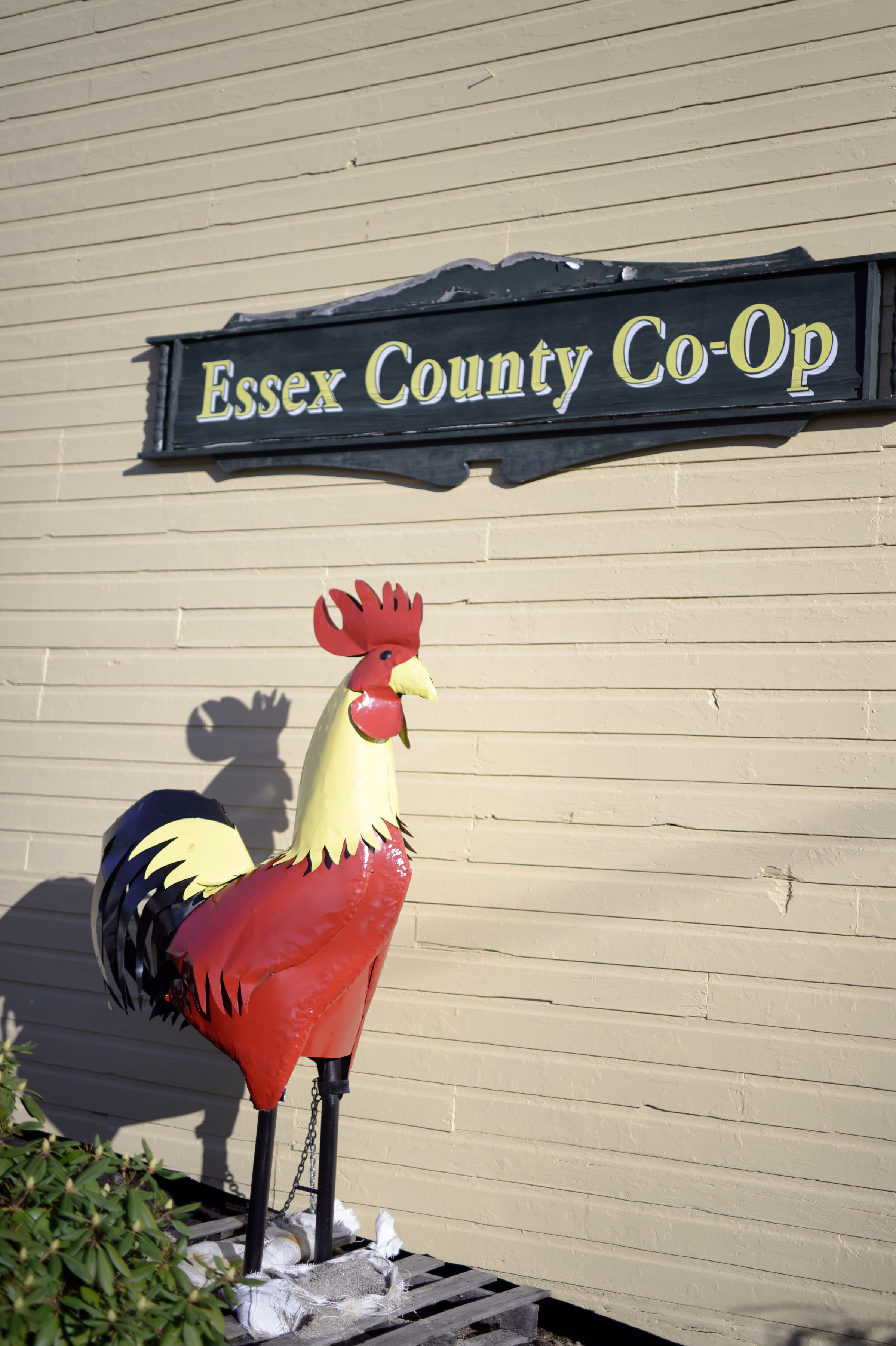 Essex County CoOp Pet Supply, Farm & Garden Topsfield, MA