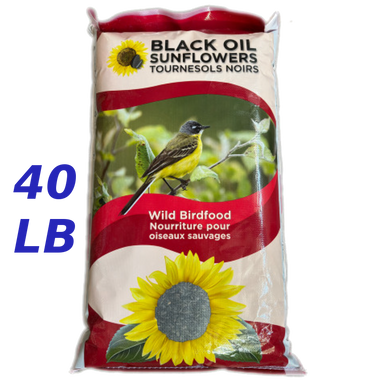 Rural King Black Oil Sunflower Seedsnull
