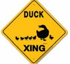 Duck Crossing Sign - Essex County Co-Op