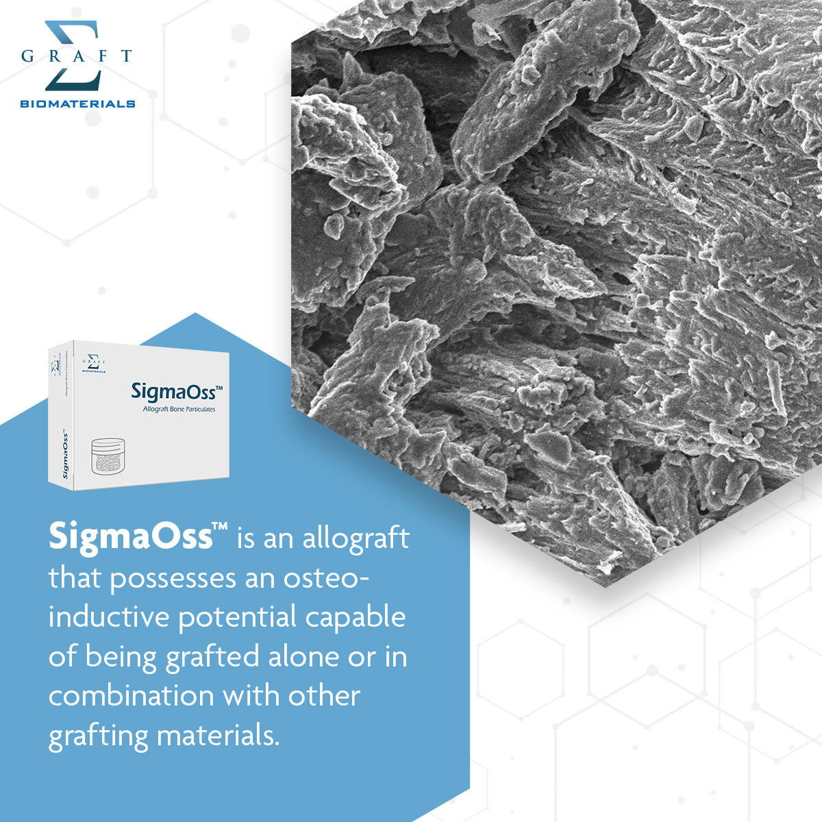 Whitecap Dental Solutions