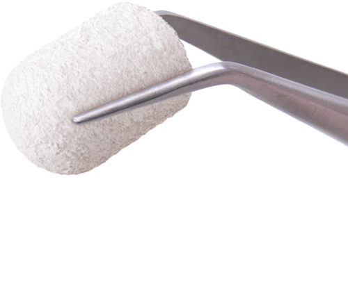 InterOss® Collagen Plug