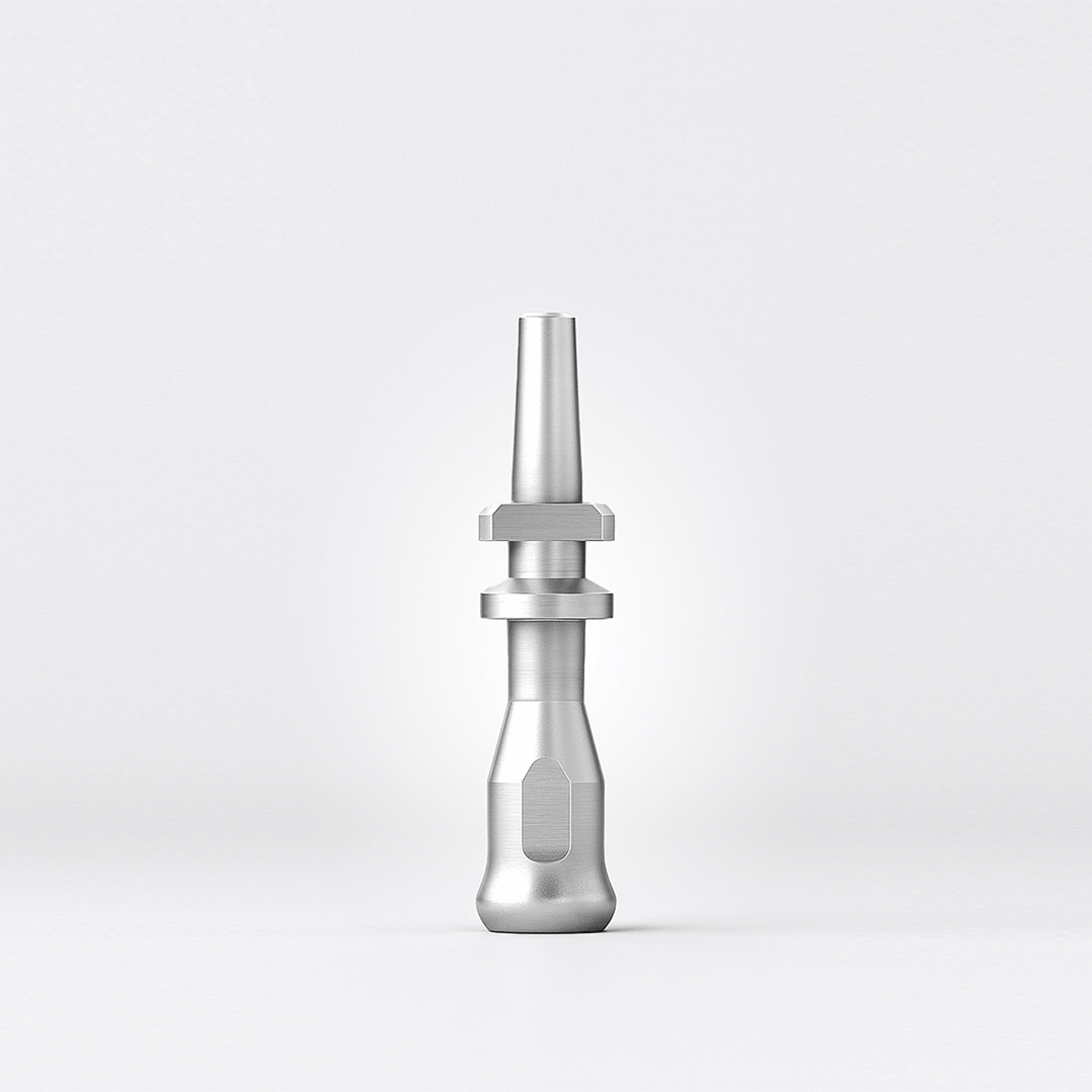 The Protem System Abutments implant.