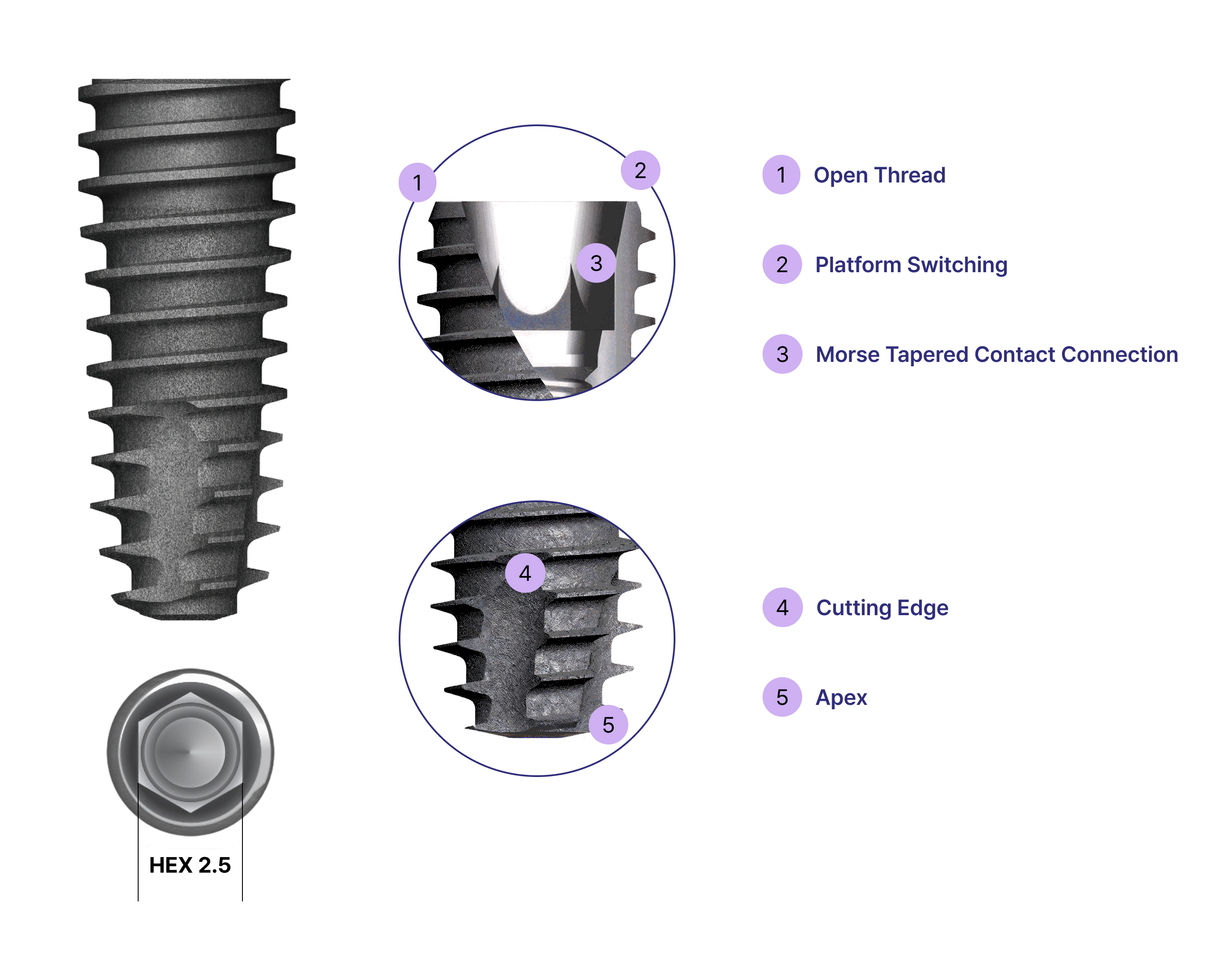 DIO UF(ll) Fixture, Regular's different parts.