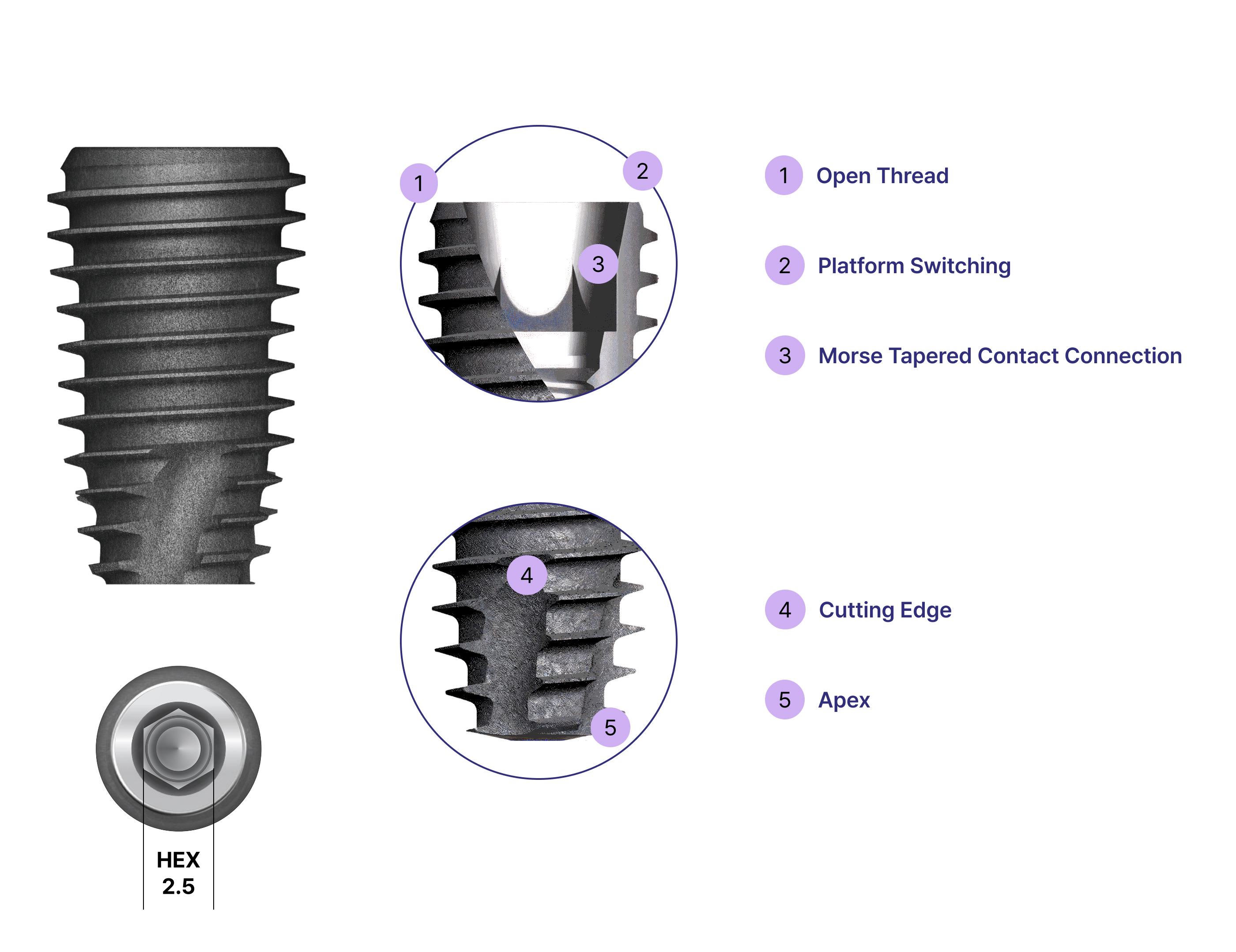 Details about the DIO UF(II) Fixture, Wide's body.