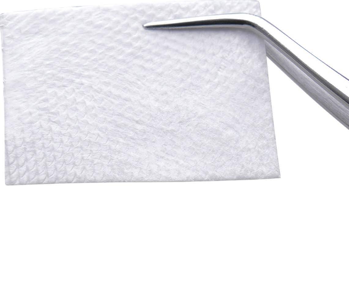 InterCollagen Guide Resorbable Collagen Membrane