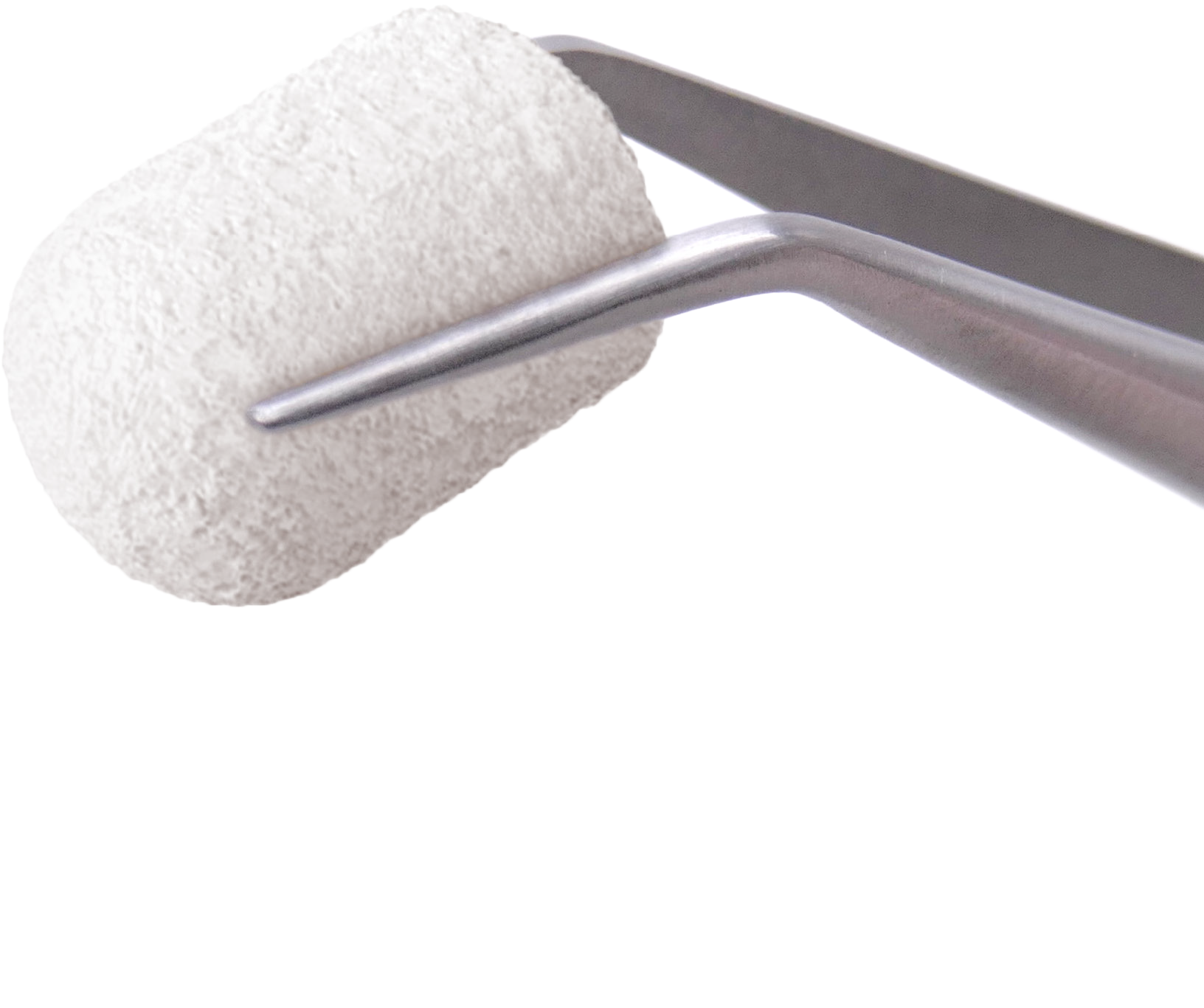 InterOss Collagen Plug