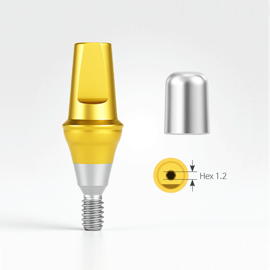 The Solid Abutment, (SSSA), Regular.Wide drops a shadow.