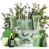 Tea Tree Bath & Body  Gift Set -