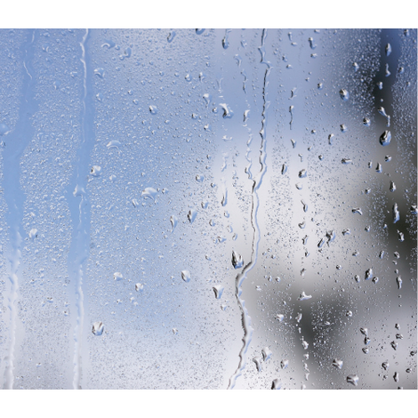 How to Protect your Blinds from Condensation and Moisture