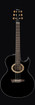 Ibanez EP5BP EP Signature Series Acoustic Guitar, Black Pearl High Gloss